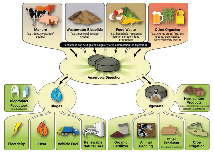 The Importance of Biogas Production from Municipal Solid Waste and Organic Waste
